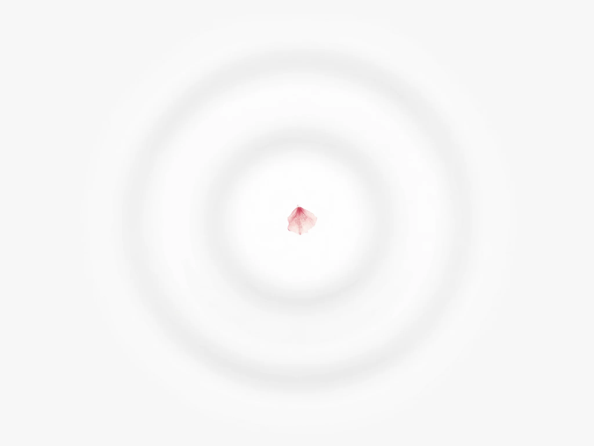 Audio never retained